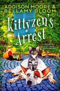 Kittizens-Arrest-Kindle